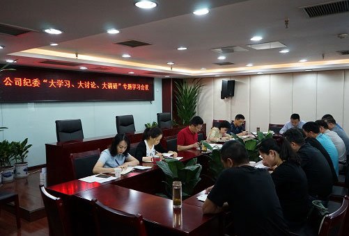 以“大學(xué)習(xí)、大討論、大調(diào)研”為動(dòng)力推動(dòng)公司紀(jì)檢監(jiān)察工作扎實(shí)開(kāi)展