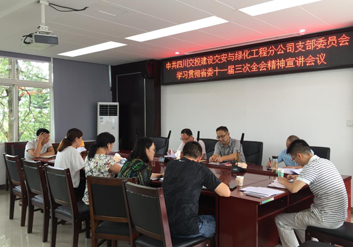 公司交綠分公司組織全體黨員召開學(xué)習(xí)貫徹省委十一屆三次全會(huì)精神專題宣講會(huì)